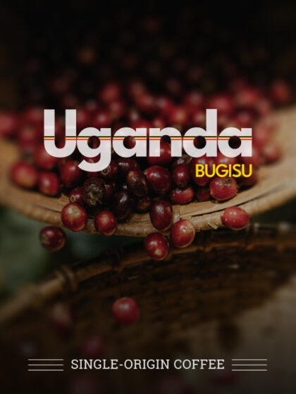 Uganda Bugisu Single Origin Coffee