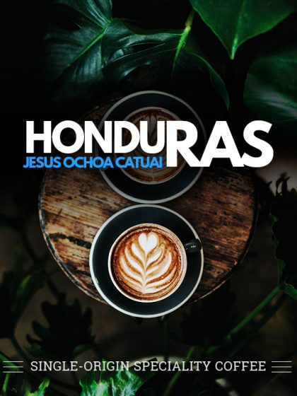 HONDURAS JESUS OCHOA Speciality Single-origin coffee